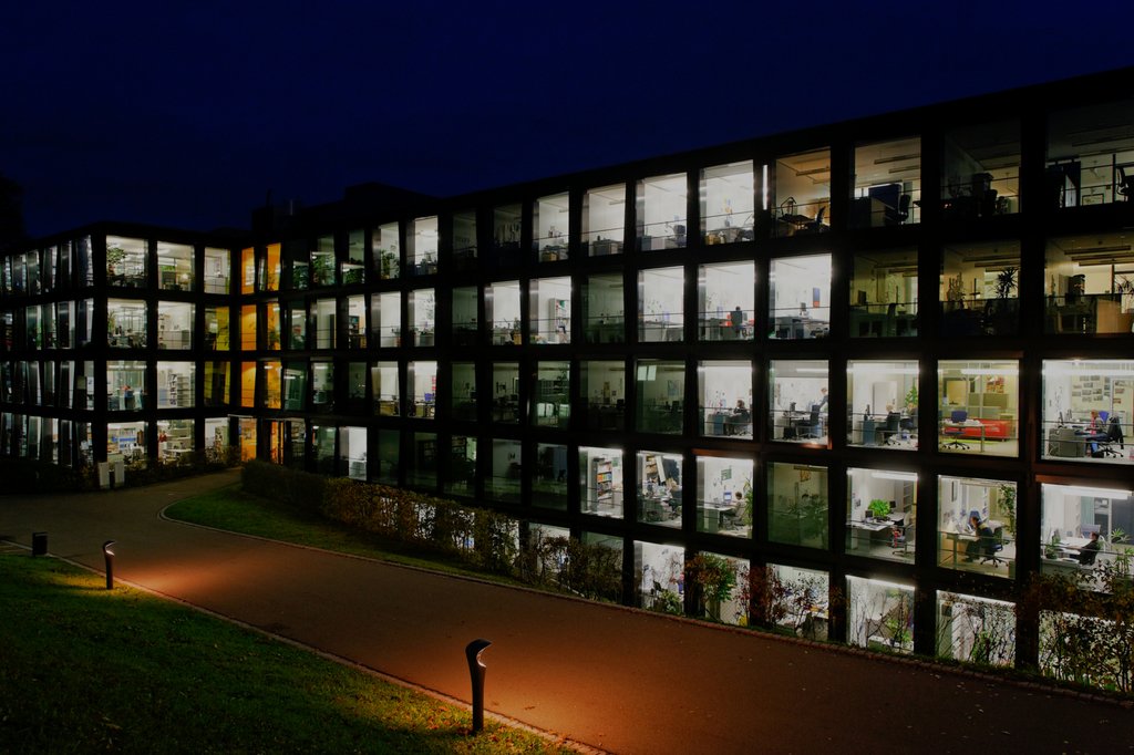 Two ITEM professors nominated